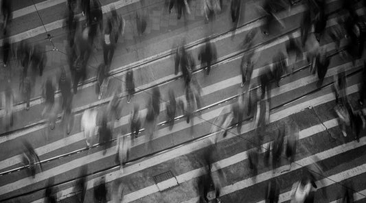 Identity Shapes Worth, Purpose Gives it Voice