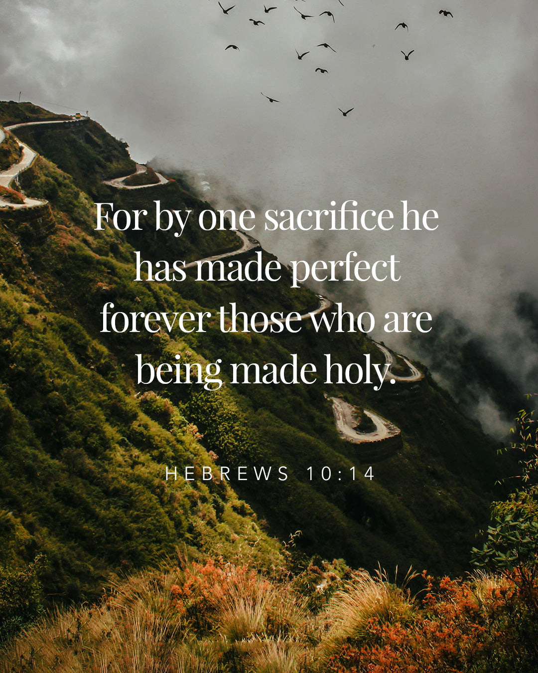 Hebrews 10:14