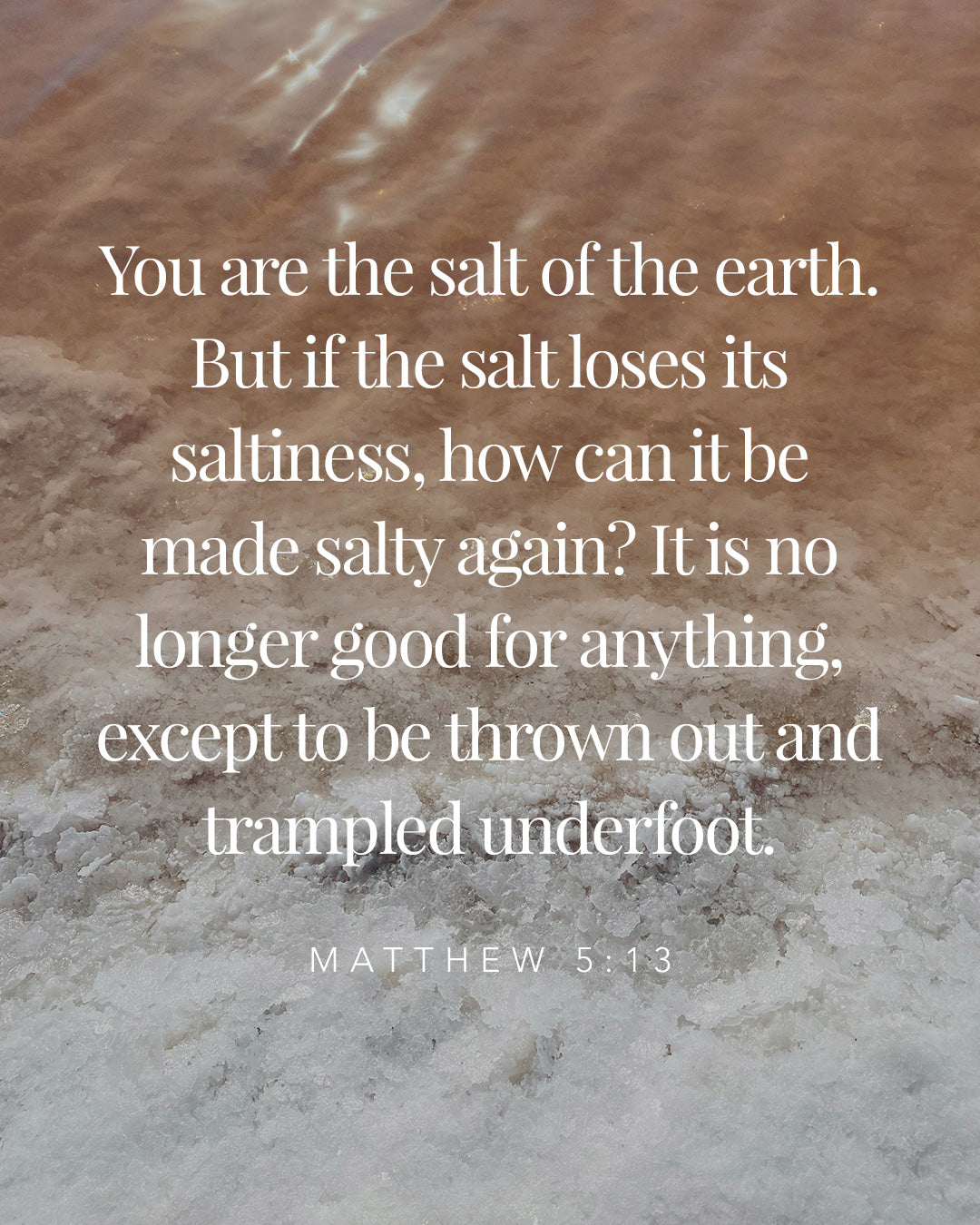 Matthew 5:13 – Salty & Lit